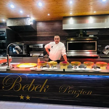 Bebek 게스트하우스 Filakovo